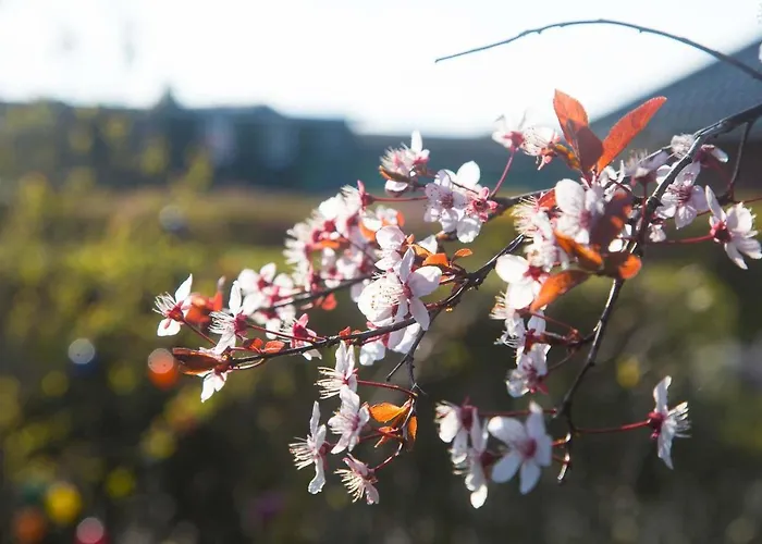 Haus Timpe Whg 3 Apartamento Kellenhusen